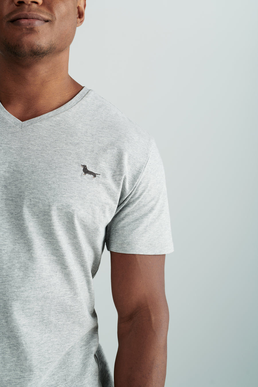 Nachhaltiges Herren T-Shirt in Grau mit Rauhaardackel Motiv
